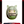 Arknights | Spring Fling Wobble Egg | Black Friday 2024
