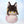 Azur Lane | Dessert-themed Plushie Set | 3rd Anniv