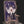 Azur Lane | Acrylic Zodiac Calendar